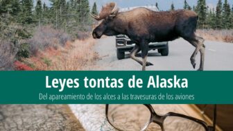 7 leyes tontas de Alaska: Prohibido servir alcohol a los alces