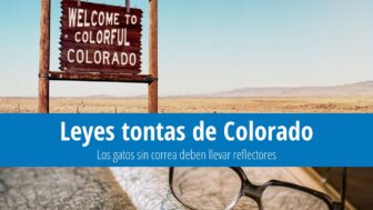 15 leyes tontas de Colorado: Los gatos deben llevar reflectores