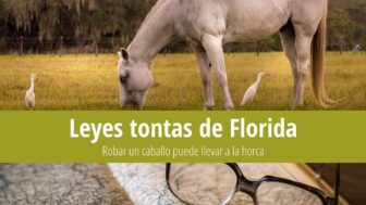 Leyes tontas de Florida: ¿Cuál es la pena por robar un caballo?