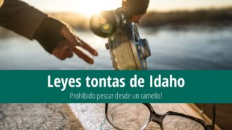 7 leyes tontas de Idaho: ¡Prohibido pescar desde un camello!