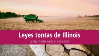 23 leyes tontas de Illinois: El inglés no está permitido aquí