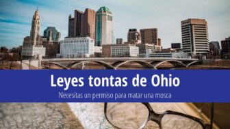 30 leyes tontas de Ohio: Matar una mosca requiere un permiso