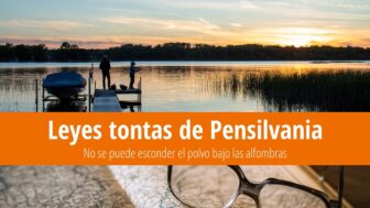 Leyes tontas de Pensilvania: El polvo bajo la alfombra es ilegal