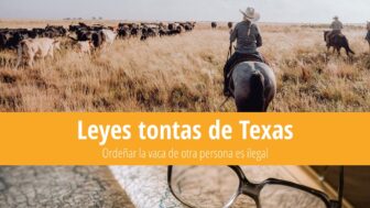 29 leyes tontas de Texas: Ordeñar vacas ajenas es ilegal