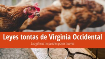 Las 11 leyes más tontas de Virginia Occidental