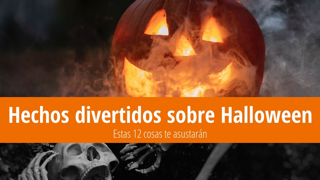 Datos curiosos de Halloween: ¡Estas 12 cosas le asustarán! | © Unsplash.com