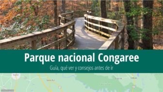 Parque nacional Congaree – guía de viaje, tiempo y fotos