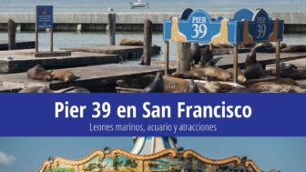 Muelle 39 en San Francisco – leones marinos, acuario, fotos